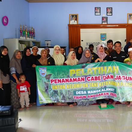 Pelatihan Ketahanan Pangan Penanaman Cabe Dan Jagung oleh Kelompok Tani Desa Mangkalawat