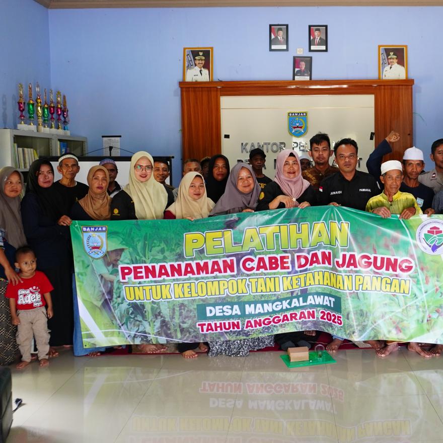Pelatihan Ketahanan Pangan Penanaman Cabe Dan Jagung oleh Kelompok Tani Desa Mangkalawat
